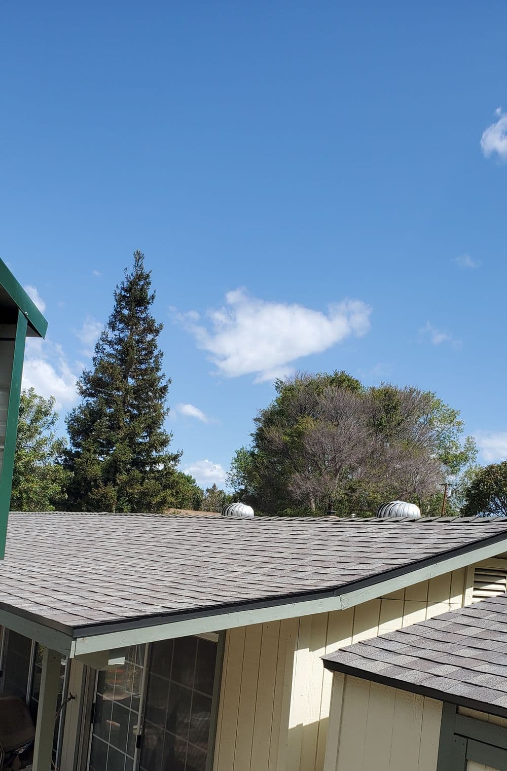 A well-maintained residential roof with a clear blue sky and greenery.