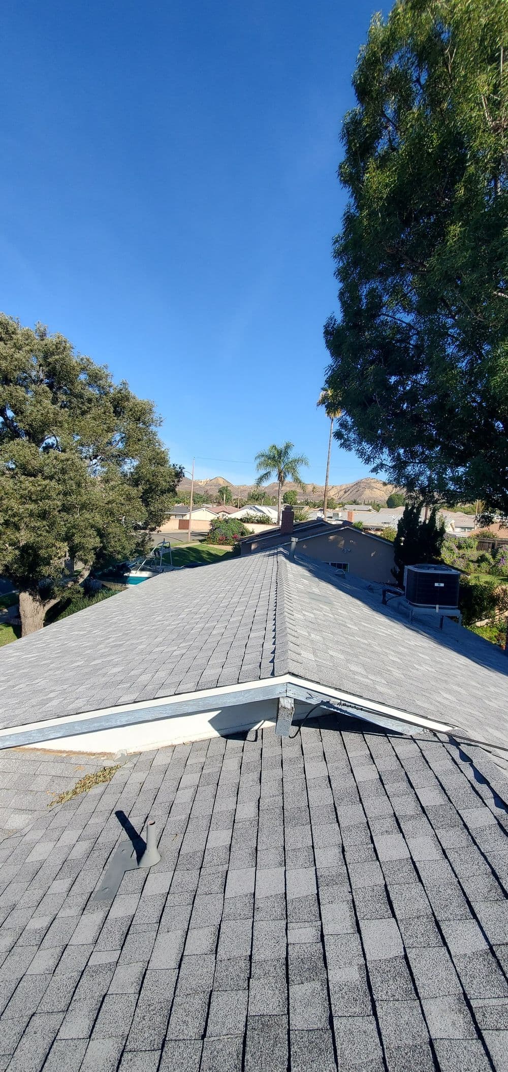 View of a grey shingle roof with clear blue sky and greenery in the background.