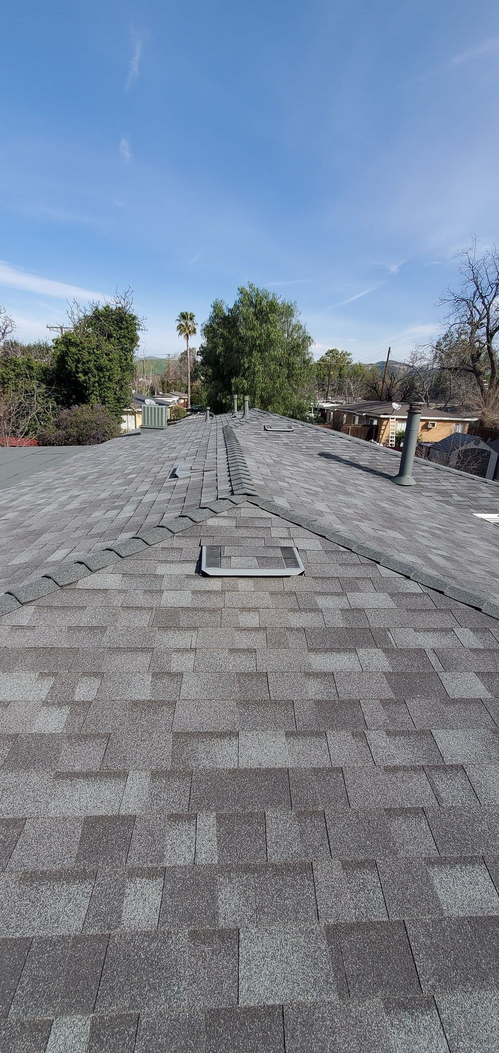 Roof with asphalt shingles and skylight, surrounded by trees and clear blue sky.